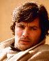 Just the Print