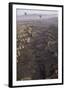 Chelsea Black