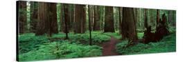 Stretched Canvas