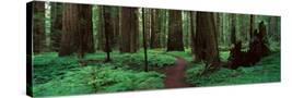 Stretched Canvas