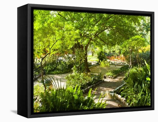 Alameda Gardens, Gibraltar, Europe-Giles Bracher-Framed Stretched Canvas