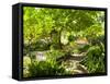 Alameda Gardens, Gibraltar, Europe-Giles Bracher-Framed Stretched Canvas