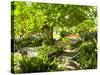 Alameda Gardens, Gibraltar, Europe-Giles Bracher-Stretched Canvas