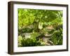 Alameda Gardens, Gibraltar, Europe-Giles Bracher-Framed Photographic Print