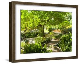 Alameda Gardens, Gibraltar, Europe-Giles Bracher-Framed Photographic Print