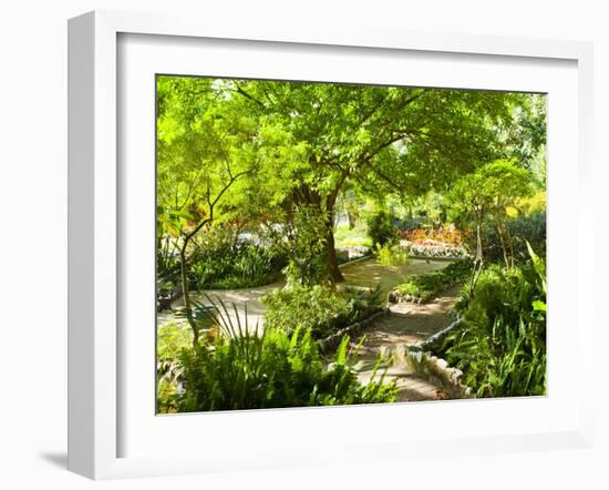 Alameda Gardens, Gibraltar, Europe-Giles Bracher-Framed Photographic Print