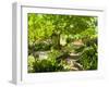 Alameda Gardens, Gibraltar, Europe-Giles Bracher-Framed Photographic Print