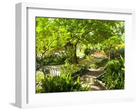 Alameda Gardens, Gibraltar, Europe-Giles Bracher-Framed Photographic Print