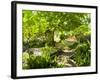 Alameda Gardens, Gibraltar, Europe-Giles Bracher-Framed Photographic Print