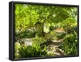 Alameda Gardens, Gibraltar, Europe-Giles Bracher-Framed Photographic Print