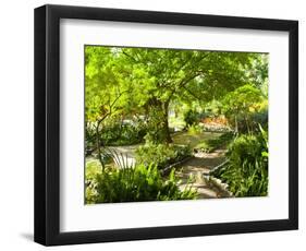 Alameda Gardens, Gibraltar, Europe-Giles Bracher-Framed Photographic Print