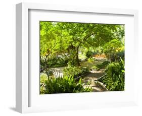 Alameda Gardens, Gibraltar, Europe-Giles Bracher-Framed Photographic Print