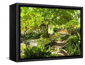 Alameda Gardens, Gibraltar, Europe-Giles Bracher-Framed Stretched Canvas