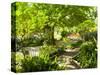 Alameda Gardens, Gibraltar, Europe-Giles Bracher-Stretched Canvas