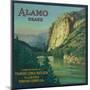 Alamo Orange Label - Fillmore, CA-Lantern Press-Mounted Art Print