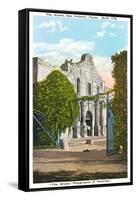 Alamo, San Antonio, Texas-null-Framed Stretched Canvas