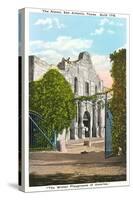 Alamo, San Antonio, Texas-null-Stretched Canvas