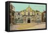 Alamo, San Antonio, Texas-null-Framed Stretched Canvas