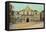 Alamo, San Antonio, Texas-null-Framed Stretched Canvas