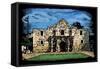 Alamo - Scratchboard-Lantern Press-Framed Stretched Canvas
