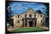 Alamo - Scratchboard-Lantern Press-Stretched Canvas