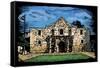 Alamo - Scratchboard-Lantern Press-Framed Stretched Canvas