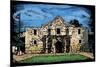 Alamo - Scratchboard-Lantern Press-Mounted Art Print