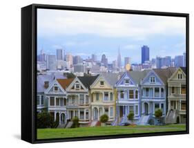 Alamo Square Park, San Francisco, California, USA-John Alves-Framed Stretched Canvas