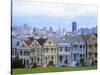 Alamo Square Park, San Francisco, California, USA-John Alves-Stretched Canvas