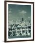 Alamo Square, San Francisco, California, USA-Walter Bibikow-Framed Photographic Print