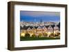 Alamo Square San Francisco-null-Framed Art Print