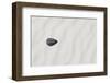 Alamogordo, New Mexico. White Sands National Monument-Julien McRoberts-Framed Photographic Print