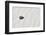 Alamogordo, New Mexico. White Sands National Monument-Julien McRoberts-Framed Photographic Print