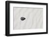 Alamogordo, New Mexico. White Sands National Monument-Julien McRoberts-Framed Photographic Print