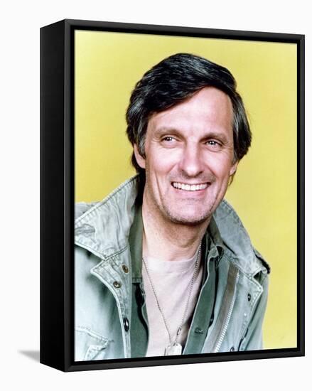 Alan Alda-null-Framed Stretched Canvas