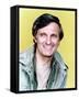 Alan Alda-null-Framed Stretched Canvas