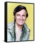 Alan Alda-null-Framed Stretched Canvas