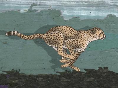 Side-View of Leopard Running