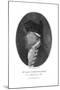 Alan Baron Gardner-null-Mounted Giclee Print