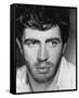 Alan Bates-null-Framed Stretched Canvas