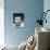 Alan Bates-null-Photo displayed on a wall