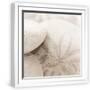 White Frame