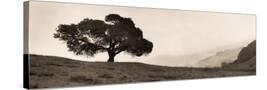 Stretched Canvas