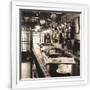Gramercy White