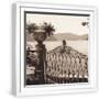 White Frame