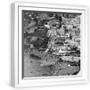White Frame