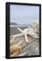 Essential Black