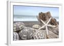 Chelsea White