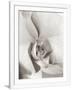 Gramercy White
