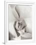 Gramercy White